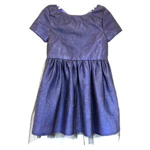 Sparkly Holiday Navy Dress